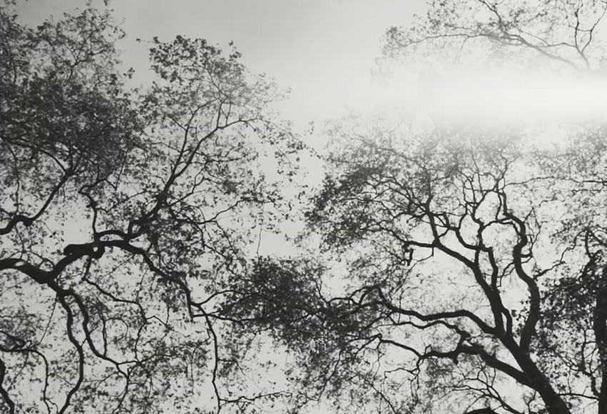 英国とロンドンに傾倒し、探求し続ける。